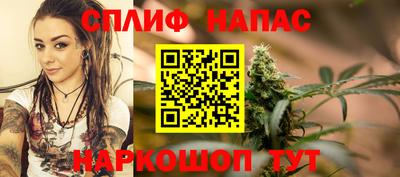 стаф Кулебаки