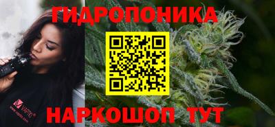 стаф Кулебаки