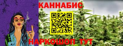 стаф Кулебаки