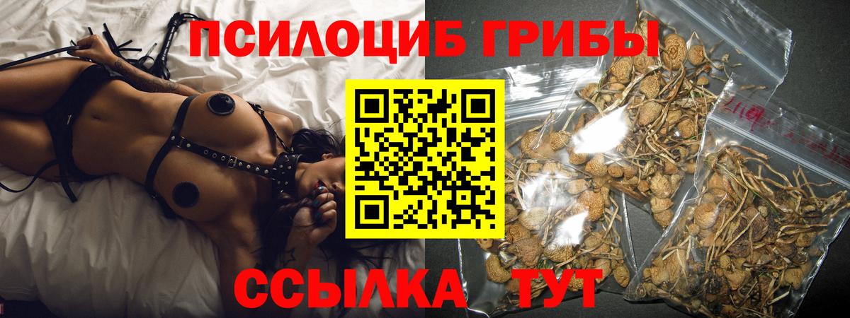 Гурьевск  Псилоцибиновые грибы мухоморы  магазин    Вход с VPN  Галлюциногенные грибы ЛСД 